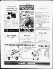 Síða 8