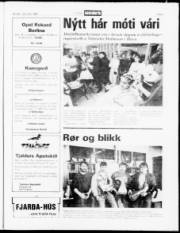Síða 9