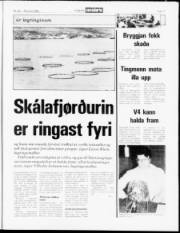 Síða 11