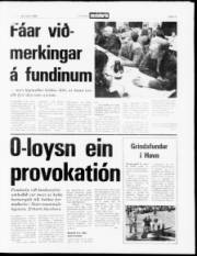 Síða 13