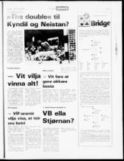 Síða 17
