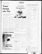 Síða 19