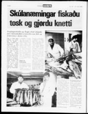 Síða 6