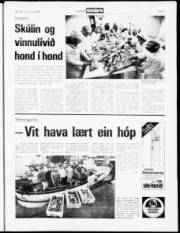 Síða 7