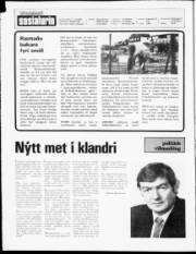 Síða 2