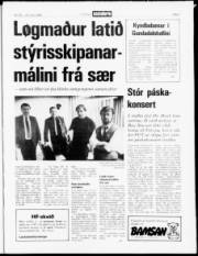 Síða 3