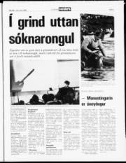 Síða 5