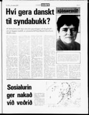 Síða 7