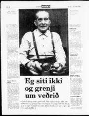 Síða 12