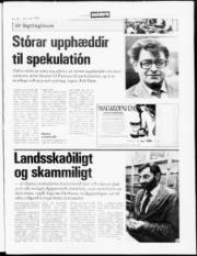 Síða 3