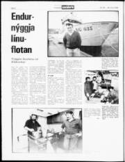 Síða 6