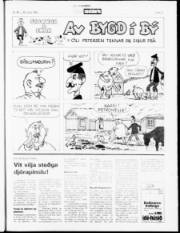 Síða 19