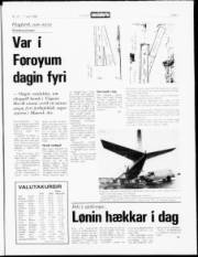 Síða 3