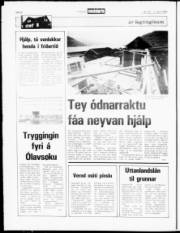 Síða 8