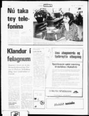 Síða 4