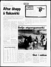 Síða 5