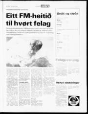 Síða 17