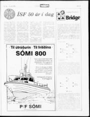 Síða 19