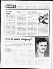 Síða 2