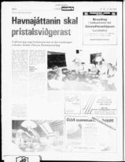 Síða 6