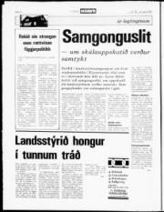 Síða 8
