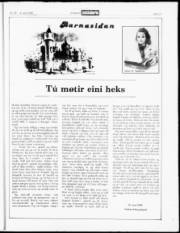 Síða 17
