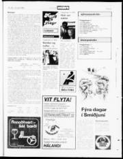 Síða 23