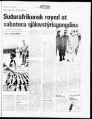 Síða 15