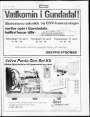 Síða 19