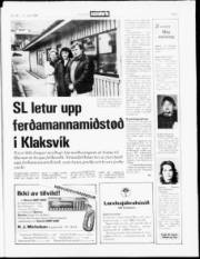 Síða 3