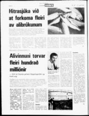 Síða 4