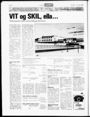 Síða 6