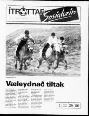 Síða 11