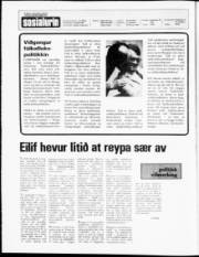 Síða 2