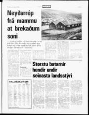 Síða 5