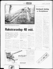 Síða 6