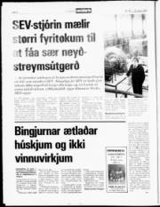Síða 8