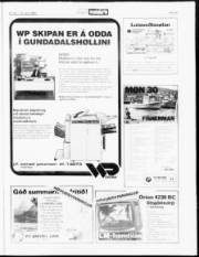 Síða 19