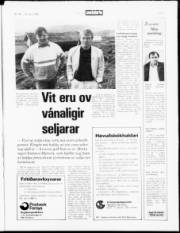 Síða 3