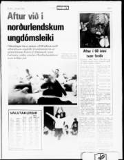 Síða 5