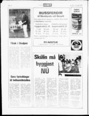 Síða 10