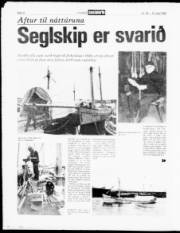 Síða 12