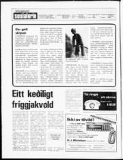 Síða 2