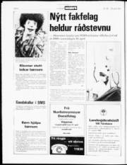 Síða 4