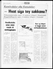 Síða 7