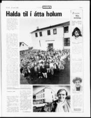 Síða 3