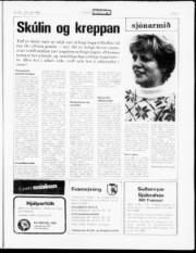 Síða 11