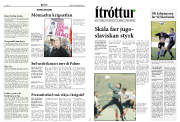 Síða 8
