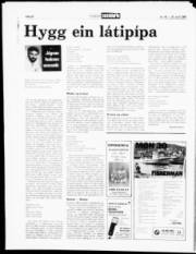 Síða 20