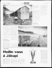 Síða 5